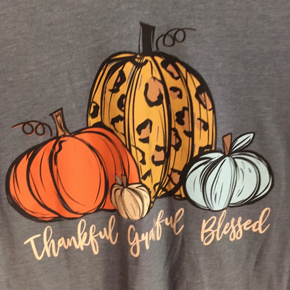 Faith love fall pumpkins 3/4 sleeve medium